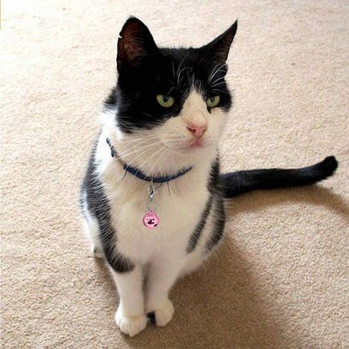 IVIA PET 4 Sets Cat Bell for Dog Collar Charm, 2 Pack Stainless Steel Dog Tag Clips, 2 Small Pink