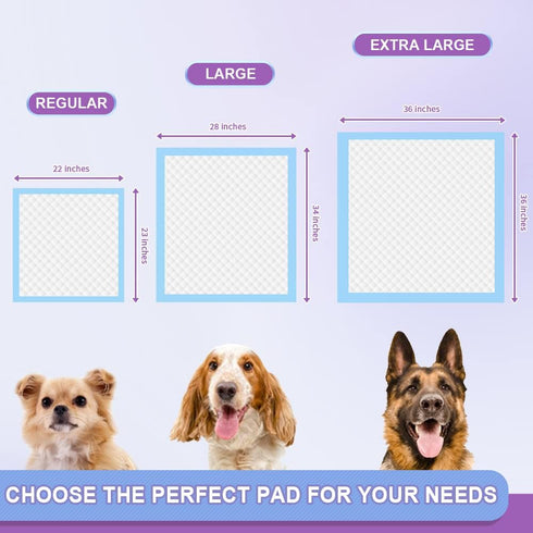 IMMCUTE Puppy Pee Pads 22"x23"-150 Count - Super Absorbent & Leak-Proof Disposable Pet Piddle and Potty Pads for