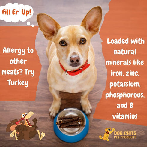 Dog Chits Turkey and Sweet Potato Soft Chew for Dogs, Organic Treats, Made in USA, 4 oz.