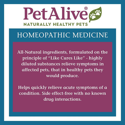 PetAlive Respiratory ComboPack for Pets - Natural Remedies for Colds and Sinus Issues