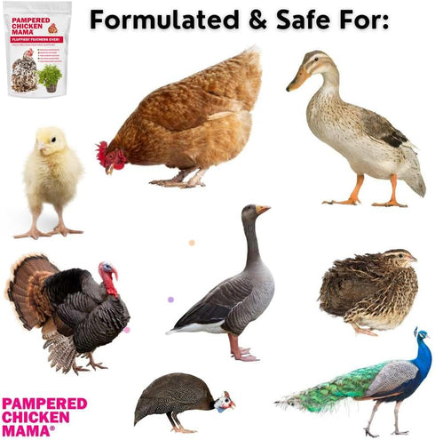 (2 Pampered Chicken Mama Molting Supplement for Chickens: Fluffiest Feathers Ever Backyard Chicken Feed and Supplies