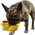 Chicken and Egg Crinkle Squeaker Toys for Dogs and Small Pets