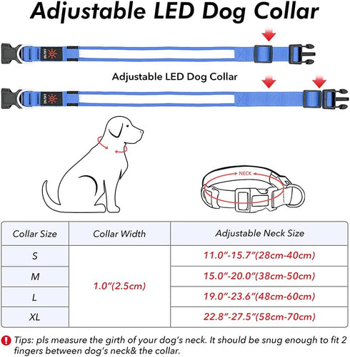 BSEEN Royal Blue Light Up Dog Collar - Reflective LED, Waterproof Glow in The Dark, Rechargeable for Night Walking
