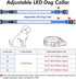 BSEEN Royal Blue Light Up Dog Collar - Reflective LED, Waterproof Glow in The Dark, Rechargeable for Night Walking