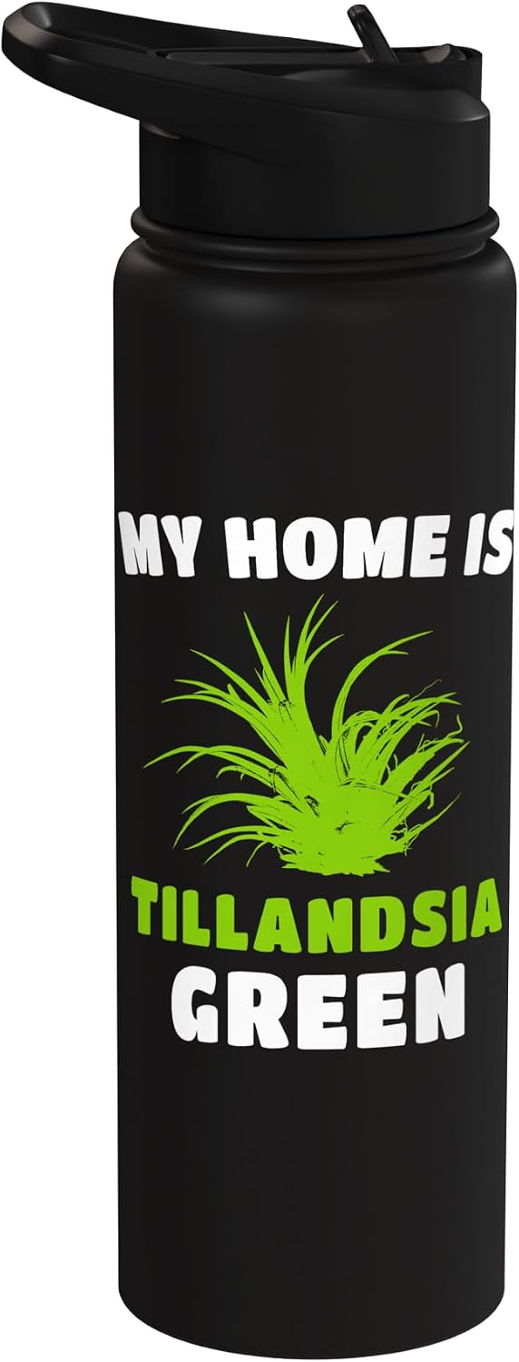 Dry Plants Bromeliads Tilanzia Hanging Plant Tillandsia Air Plants Tilandsidia Terrarium Tillandsia Stainless Steel Insulated Water Bottle
