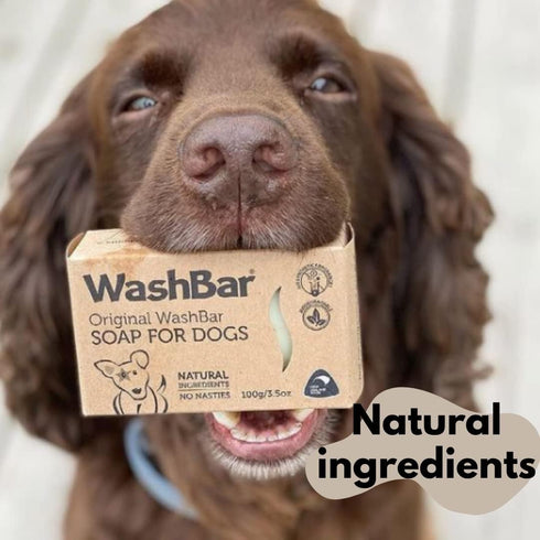 Pack The Natural Dog Shampoo Bar Soap for Itchy Skin Relief - Twin - Dog Soap for Sensitive Skin with Manuka and Neem