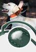 Tactical Dog Collar, Heavy Duty with Handle, Metal Buckle Dog Training Collar for Large Dogs (L, Orange)