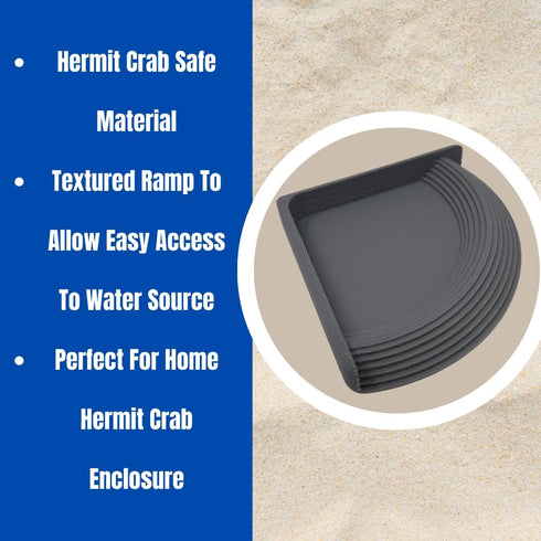 Hermit Crab Corner Pool | Watering Dish for Crabs, Frogs, Lizards | Corner Watering Pool with Ramp Access | Made in USA