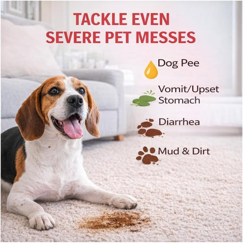 35 oz SKOUT'S HONOR Severe Mess Stain & Odor Eliminator, Powerful Stain Remover and Carpet Cleaner for Tough Dog
