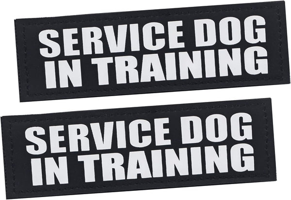 Service Dog Patches, 2 Pack Black Removable Vest Patch for Dogs, Hook Backing for Harness, Service Dog in Training-M