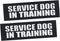 Service Dog Patches, 2 Pack Black Removable Vest Patch for Dogs, Hook Backing for Harness, Service Dog in Training-M