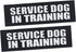 Service Dog Patches, 2 Pack Black Removable Vest Patch for Dogs, Hook Backing for Harness, Service Dog in Training-M