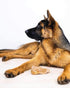 Pet Qwerks Pigs Ear BarkBone - 6" Nylon Dog Bone for Aggressive Chewers with Bacon Flavor