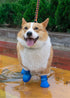 Puppy Dogs Candy Colors Anti-Slip Waterproof Rubber Rain Shoes, Boots Paws Cover (Blue, Large)