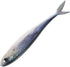 Vivid Tuna Soft Lure Saltwater Sinking Bait Reusable Artificial Fishing Tool for