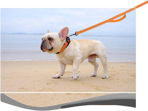 10FT Traffic Leash with 2 Handles, Reflective Dog Leash for Large Medium Dogs and Pullers