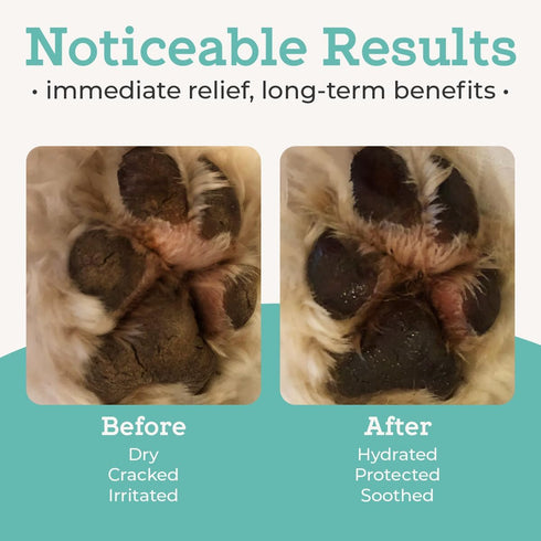 VetPro Complete Paw Balm for Dogs and Cats, 2 Ounces, Natural Protection & Soother for Dry Pads & Noses