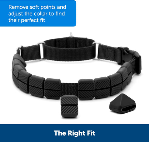 PetSafe Soft Point Training Collar - No Pull Collar Replacement Pack, 4 Pack Soft Points