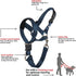BARKLESS No-Pull Head Collar for Dogs Training & Walking Made Easy, Soft Dog Halter Harness with Expert Training Guide - Put an End to Pulling on The Leash (M, Navy Blue)