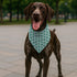 YJIKRTVT St. Patrick's Day Dog Bandana, Shamrock Clover Triangle Bib Scarf for Small and Medium Dogs, Green Puppy