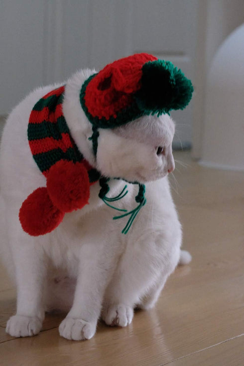 Cat Christmas Costume, Knit Pet Hat and Holiday Scarf, Winter Cat Outfits