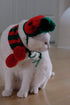 Cat Christmas Costume, Knit Pet Hat and Holiday Scarf, Winter Cat Outfits