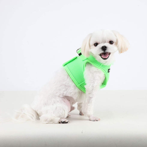 Puppia Neon Soft Vest Harness, Step-in No Choke No Pull Walking Training for Small and Medium Dog, Green, Medium