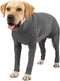 Dog Surgery Suit for Female Spay Recovery, Neuter Onesie for Dogs After Surgery, Grey/X-Large