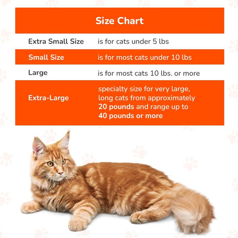 Cozy Comfort Carrier - Small Cobalt Blue Cat Carrier, Soft for Grooming, Vet Visits, and Travel