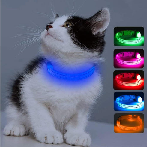 Candofly Light Up Dog Collar, USB Rechargeable Glowing Puppy Collar for Night Walking, X-Small, Blue