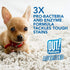 32 OUT! Advanced Stain and Odor Remover - Pet Stain and Odor Remover - Ounces