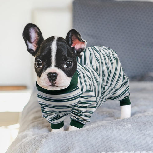 FEimaX Dog Recovery Suit After Surgery, Post Surgical Shirt for Dogs Cats, Prevent Licking Onesie Alternative