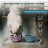 Cat Bowls with Suction Cup 13 Oz - Elevated Silicone Pet Dish with Non-Slip Bottom for Food and Water