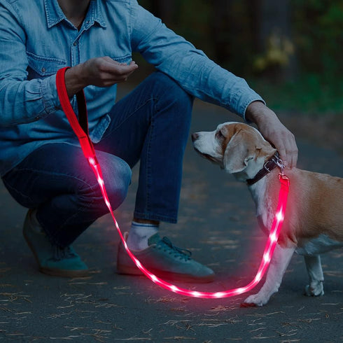 BSEEN LED Dog Leash, USB Rechargeable Light Up Leash for Nighttime Dog Walking (Pink?, 47 Inch)