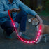 BSEEN LED Dog Leash, USB Rechargeable Light Up Leash for Nighttime Dog Walking (Pink?, 47 Inch)