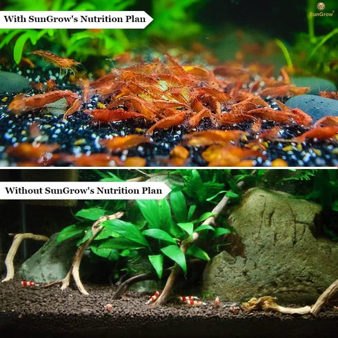 Immune SunGrow Baby Shrimp & Fish Fry Food, Essential Yellow Microbial Powder Enzyme, for Proper Nutrition, Digestion