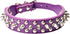 Spiked Dog Collar, Soft PU Leather Adjustable Pet Collar with Rivet Studs for Small Breeds (M, Purple)