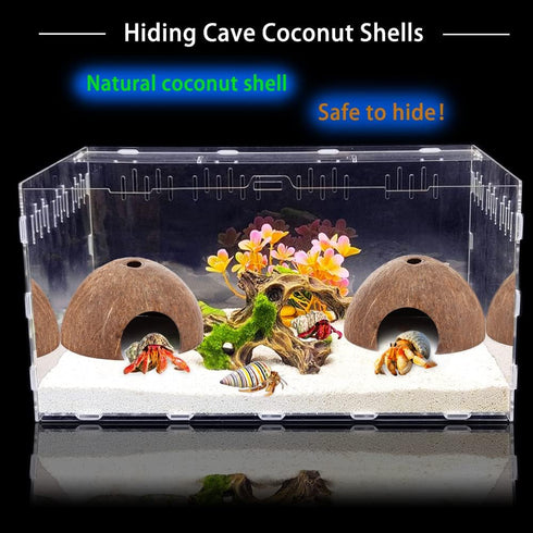 2 Pack Spider Coconut Shell Shelter, Hermit Crab Hideout, Lizard Hiding Cave, Fish Tank Decoration
