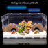 2 Pack Spider Coconut Shell Shelter, Hermit Crab Hideout, Lizard Hiding Cave, Fish Tank Decoration