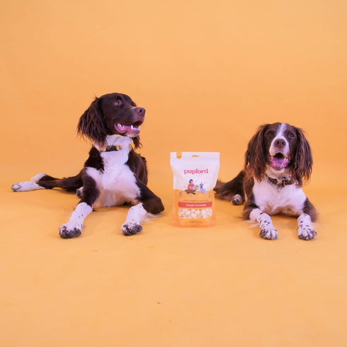 Pupford Cheese Crunchies, Premium Single-Ingredient Treat for Dogs & Puppies (Gouda, 7.50 oz)