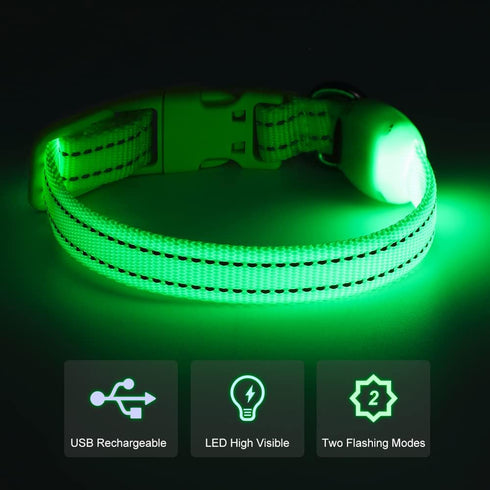 Reflective LED Dog Collar, Rechargeable Light Up Puppy Collar for Night Safety, Ideal as Lighted Cat Collar, X-Small,