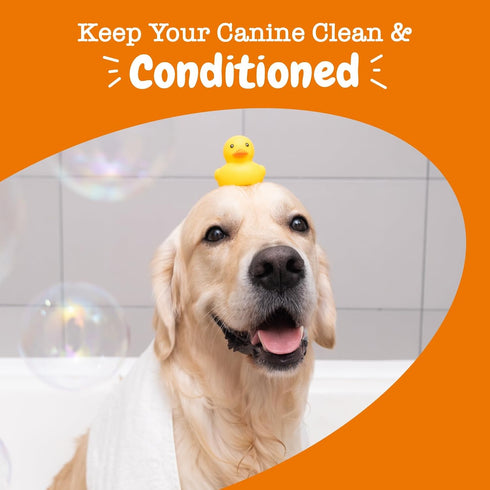 Dog Conditioner with Oatmeal, Aloe Vera & Shea Butter, Natural Grooming Wash for Skin & Coat, 16 OZ