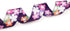 Adjustable Dog Collar - Special Design Patterns, Soft Nylon Comfortable Durable for Small Medium Large Dogs, S, Floral