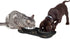 AsFrost Dog Food Bowls - Stainless Steel Pet Bowls with No-Spill and Non-Skid, Black, 12oz