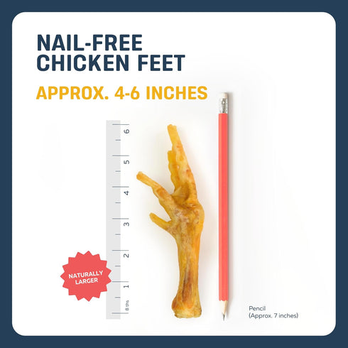 (30-Pack) 100% Nail-Free Chicken Feet Dog Chews, | Natural Single-Ingredient Treats, Rawhide-Free, Long-Lasting, Rich