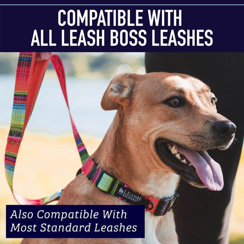 Leashboss Patterned Reflective Dog Collar, Colorful Triple Reflection Threads for Small, Medium and Large Dogs