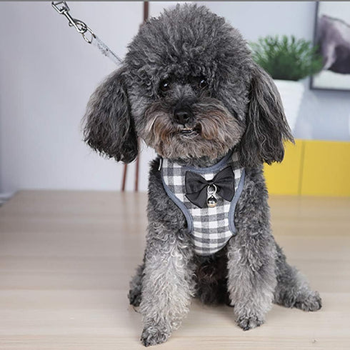 Dog Harness and Leash Set, Soft Mesh No Pull Dog Cat Harness Vest with Bowtie Bell for Small Dogs Puppy and Cats Outdoor Training and Running Classic Plaid Pattern (Large(13.7"-19.6"), Grey Plaid)