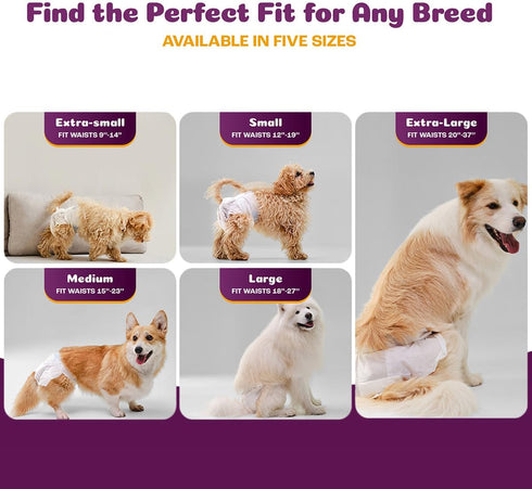 (48 Count)) Inspire Pet Care Dog Diapers Female Dogs | Bulk Value Doggie Incontinence, Accidents, for Heat, Pee