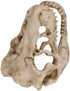 2Pcs Small Resin Dinosaur Skull Skeleton Aquarium Decoration, Fish Tank Cave for Reptile House