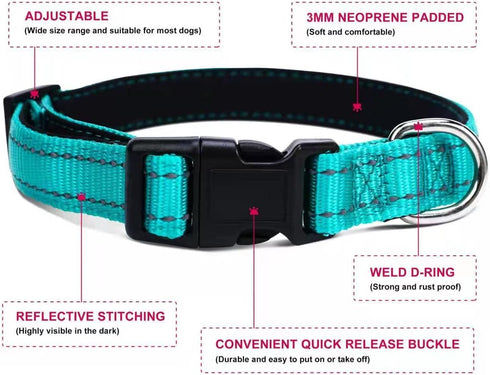 Durable Reflective Dog Collar and Leash Set, Soft Neoprene Padded Collar with 5ft Strong Leash for Medium Large Dogs